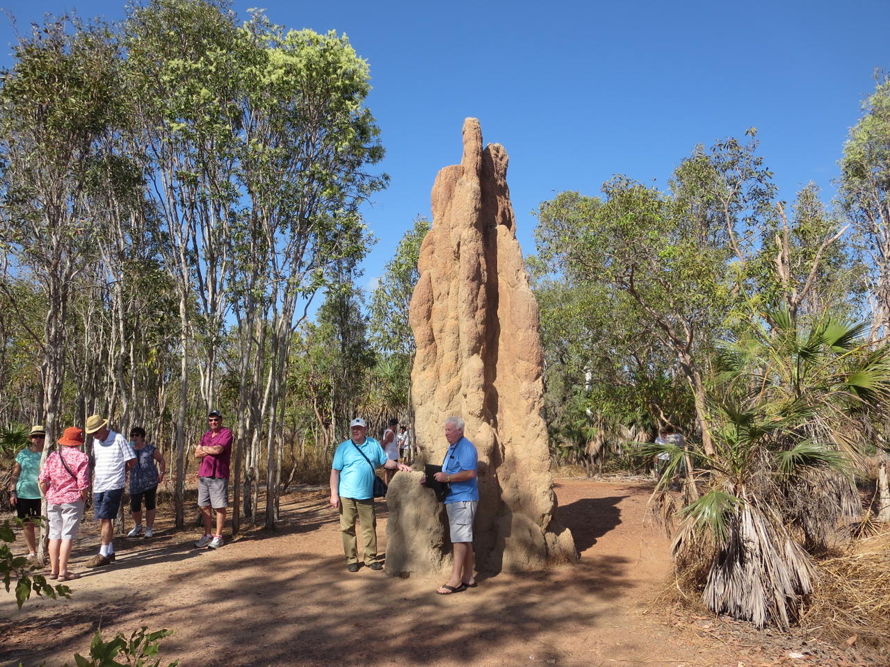 北オーストラリア ダーウィンの墓標 昭和初期 真珠貝産業の最前線に死す 世界旅 地球を抱きしめて