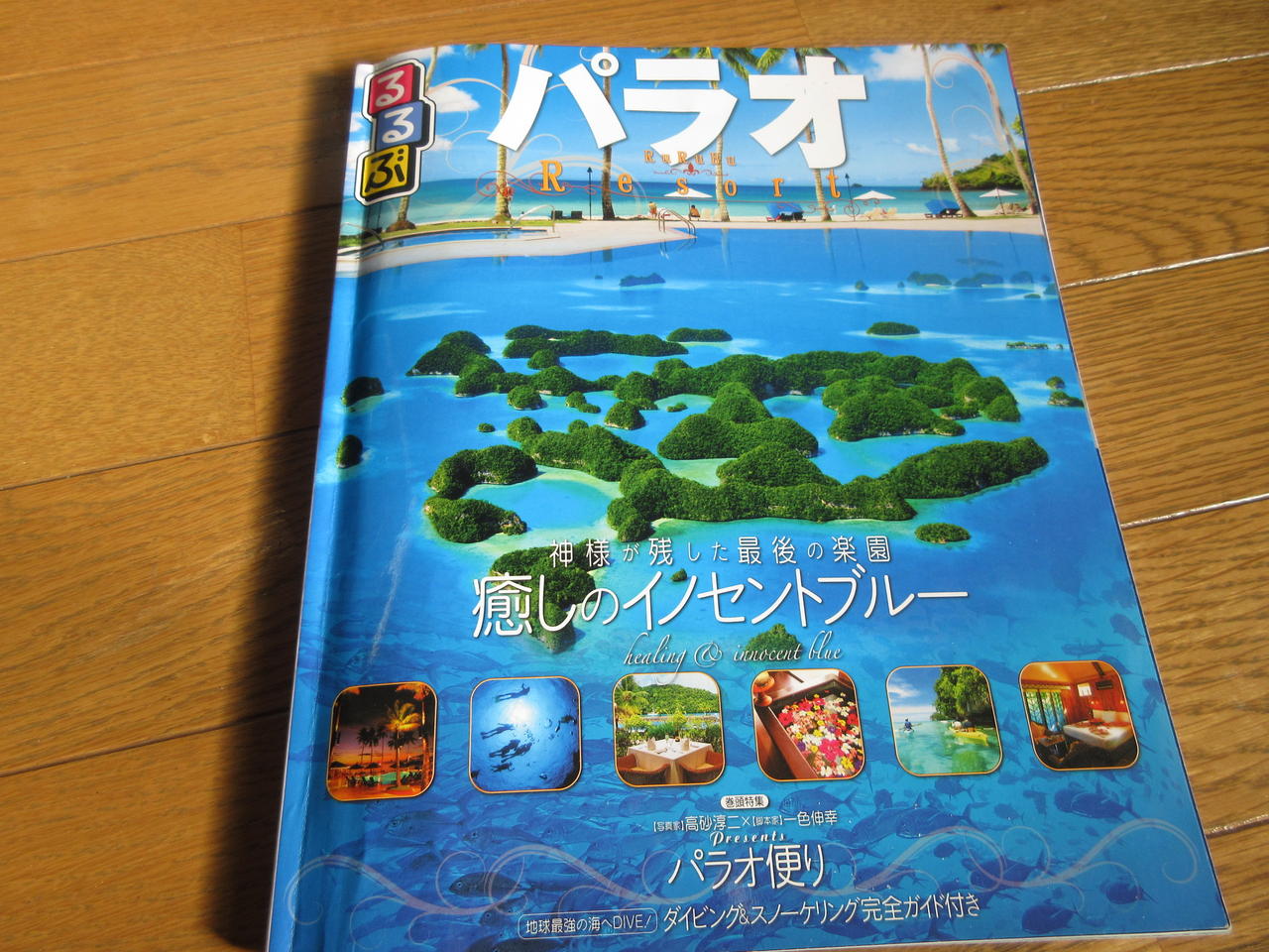 リゾートアイランドの穴場 パラオ 南洋の優雅な休日 世界旅 地球を抱きしめて