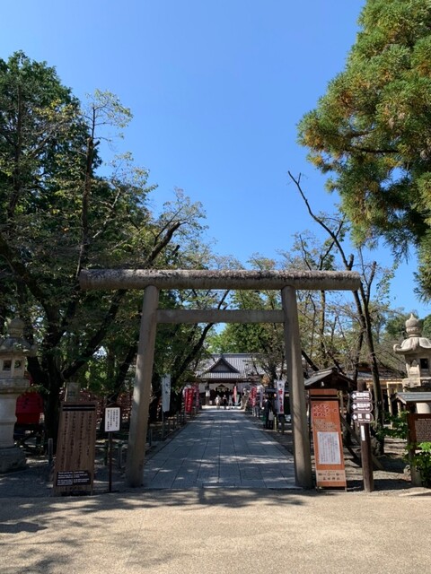 line_59137082549523