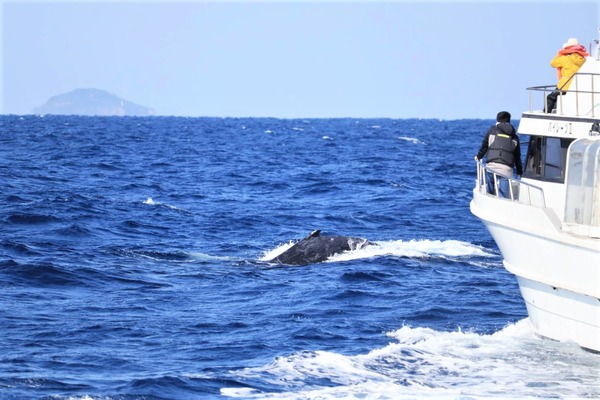 8B2D762A-E7E9-4F50-96FA-B9EA004898E9