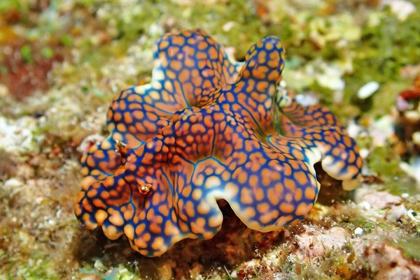 D68D1A37-8E60-45F0-A955-EFA1C6E5B48A