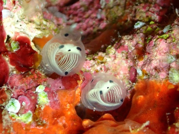 A750490E-68A3-43DA-B398-A9CAE44CBAE6