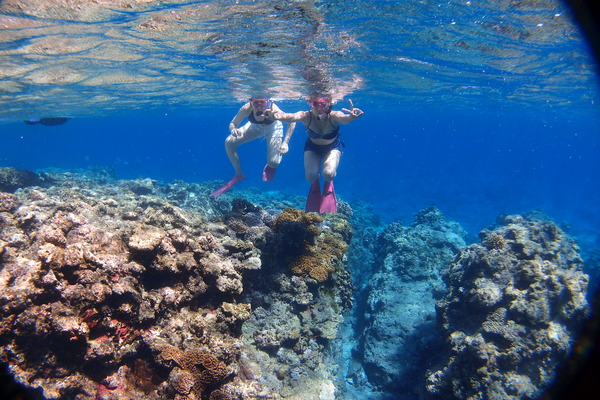 P7015551