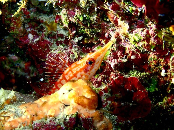 AA9917DF-A1A1-4699-88C8-AB5AF1E201A6