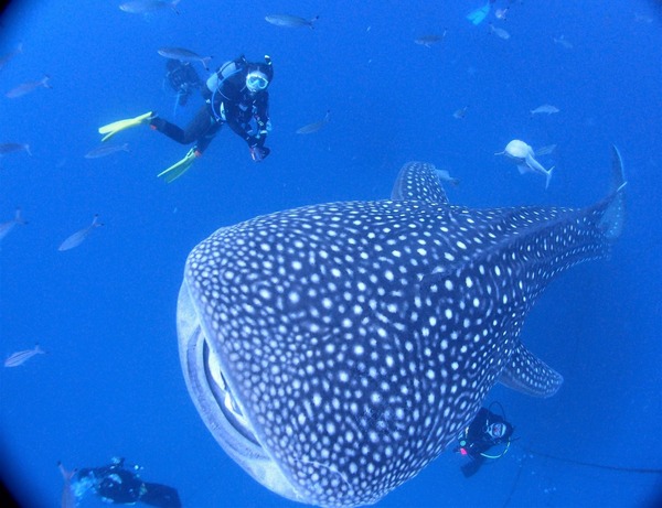 E25E02C5-DE2B-439D-B401-1A822E985637