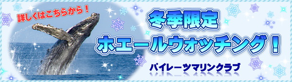 ホエールバナー