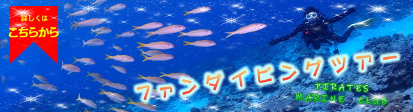 ファン