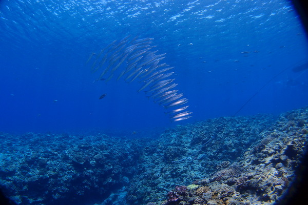 86D1BFDA-DA6E-4AAD-9461-02A94906C466