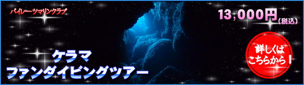 ファンダイビングツアー