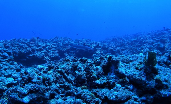 P7125828