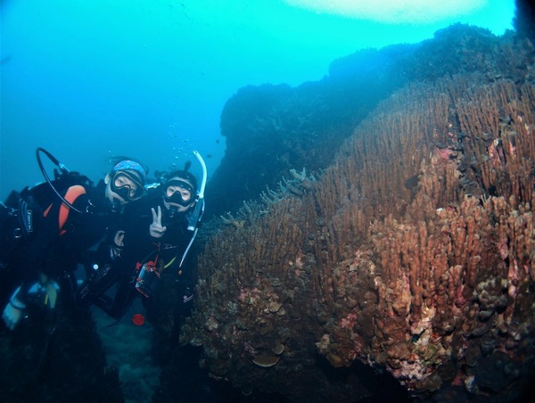 08652DB3-87DD-48A2-A433-B0D597B92E5A