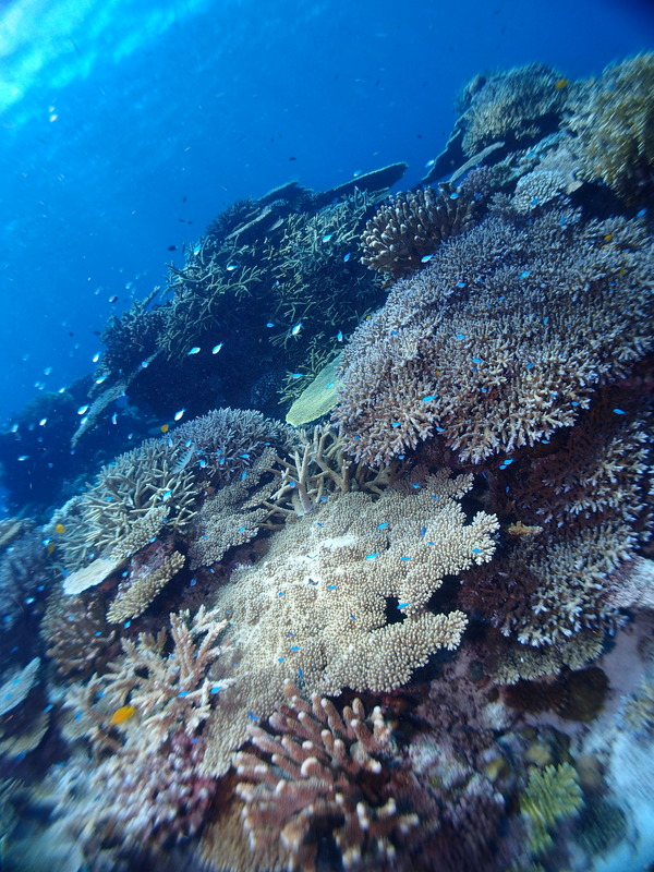P7280507