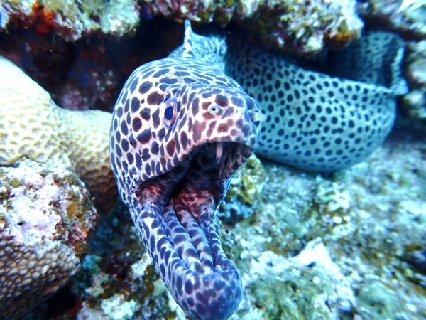 4951B337-E32F-44CD-81A0-84CD24C5A705