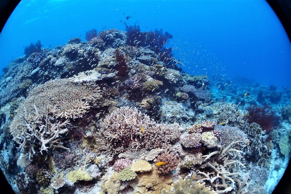 P6286410