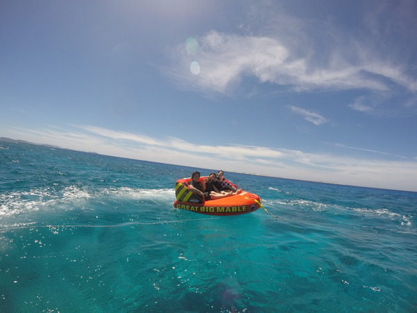 96FA7956-9943-45EF-A42D-D30310EDFCD8