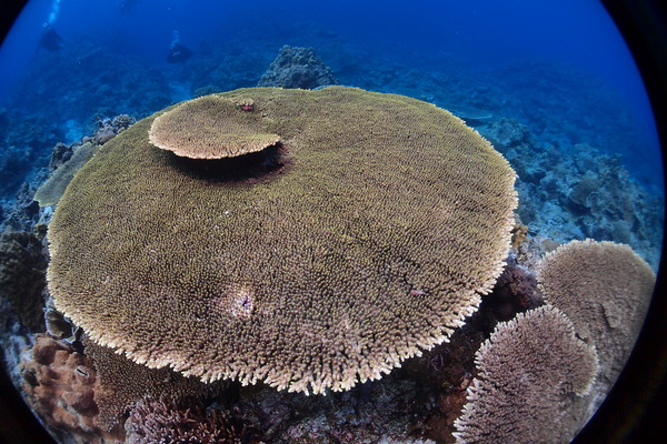 P2103501