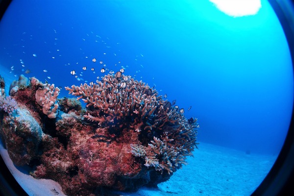 P3034078