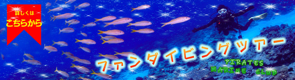 ファンダイビングツアー２