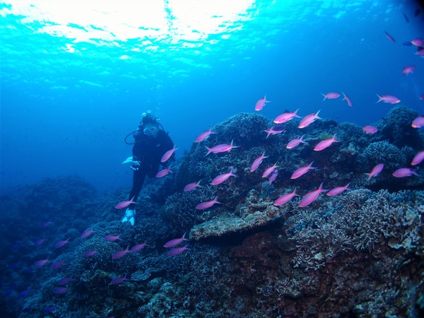 P3206662