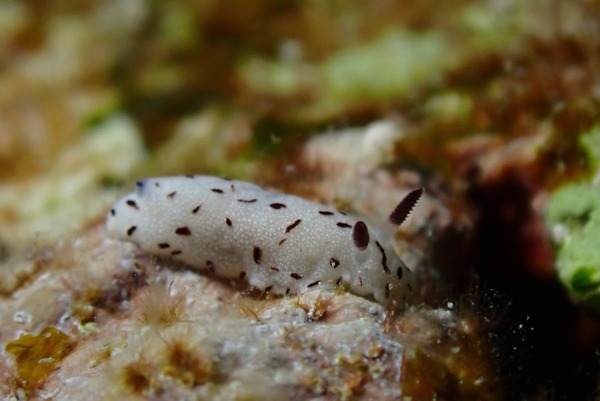 527936C9-38E7-4313-9C35-D638E15BB359