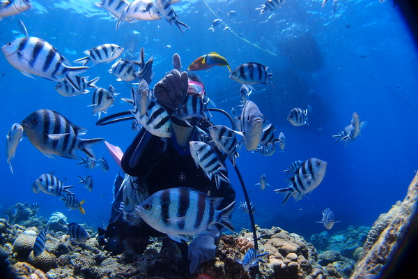 8EE7392F-4E42-4648-B95B-724D9228F0EF