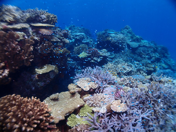 P7280514