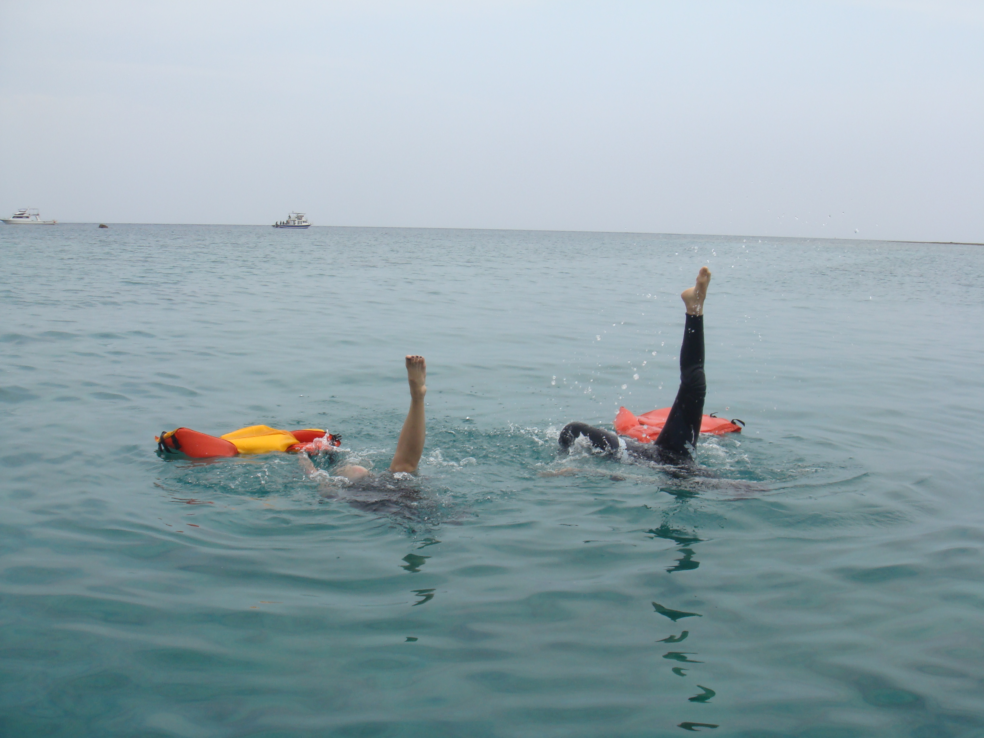 シンクロナイズドスイミング の 真似事 海賊日記 シンクロナイズドスイミング の 真似事 海賊日記