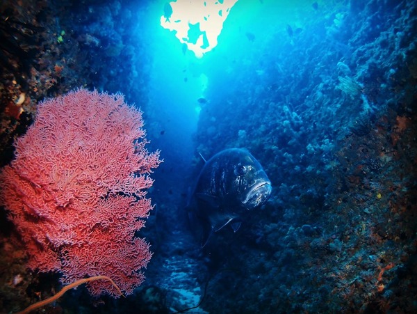 0CDEE1A9-B6D6-4E01-B712-F861A3084E06