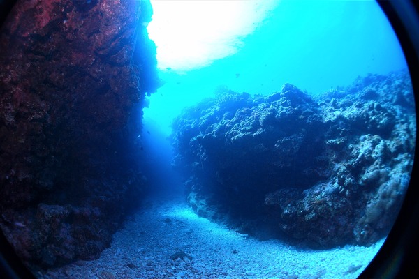 P2133583