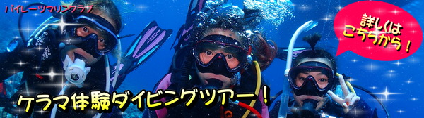 体験ダイビングツアー