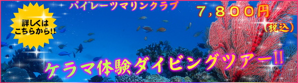 体験ダイビングツアー２