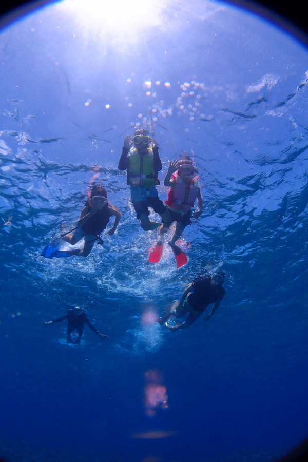 P7296216