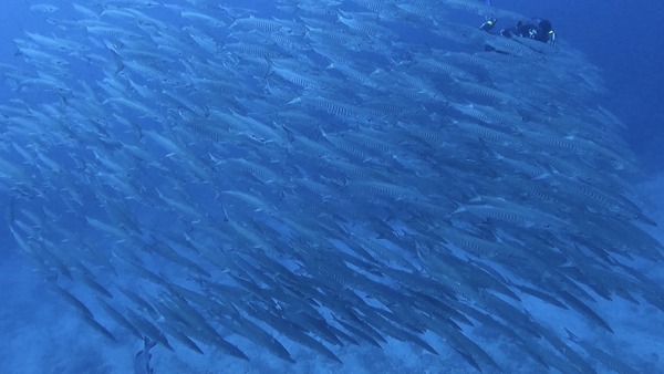 34DF5CE7-40EF-439F-8877-4B3EF7E840F0