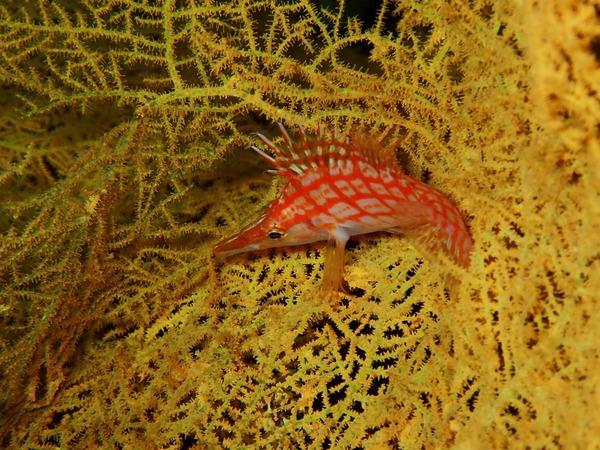 3839825A-FEA0-4C2F-A91B-0BC7D6CDD379