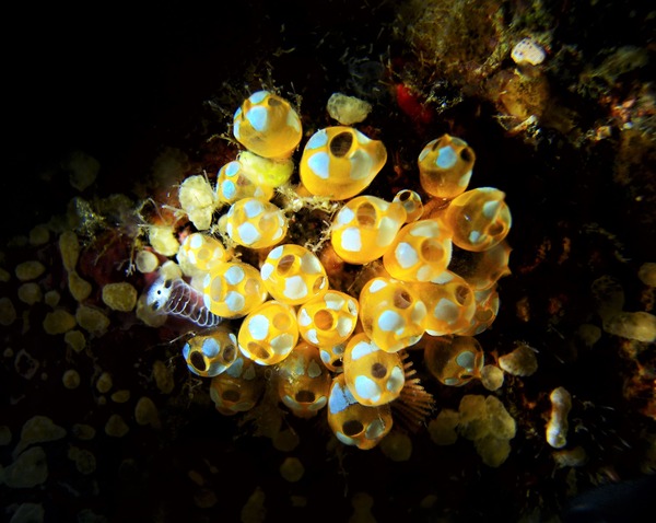 P3056222