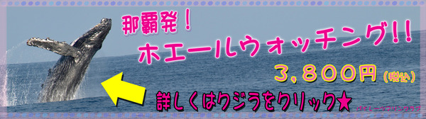 バナー