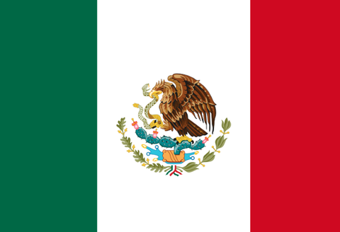 MXNflag