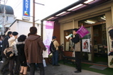 sakurasibi 1
