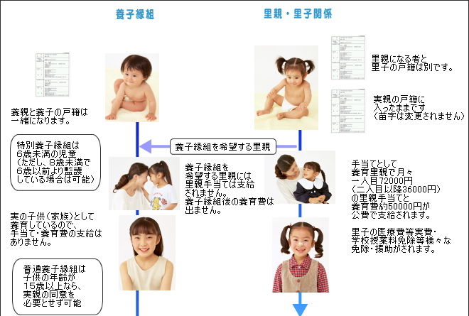 特別 養子 縁組 条件