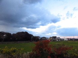 20191205_25926