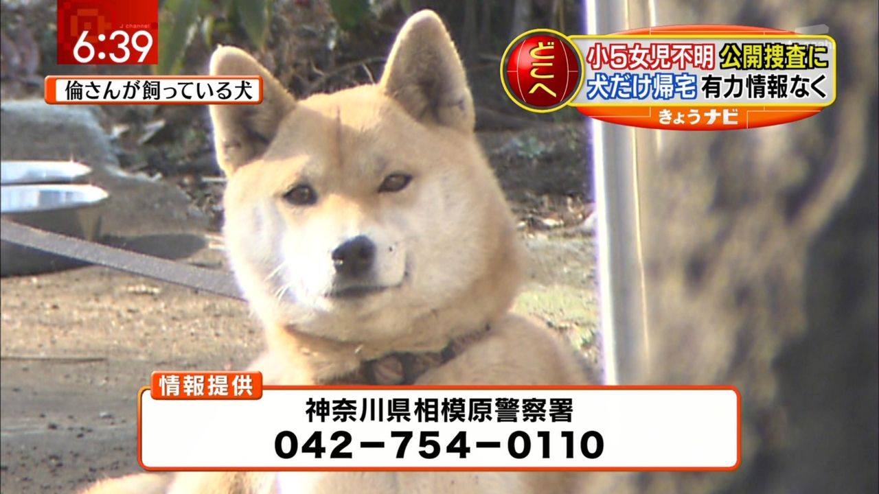 速報 相模原で行方不明の小5女児 茅ヶ崎で保護 うながんま 速報 相模原で行方不明の小5女児 茅ヶ崎で保護 うながんま