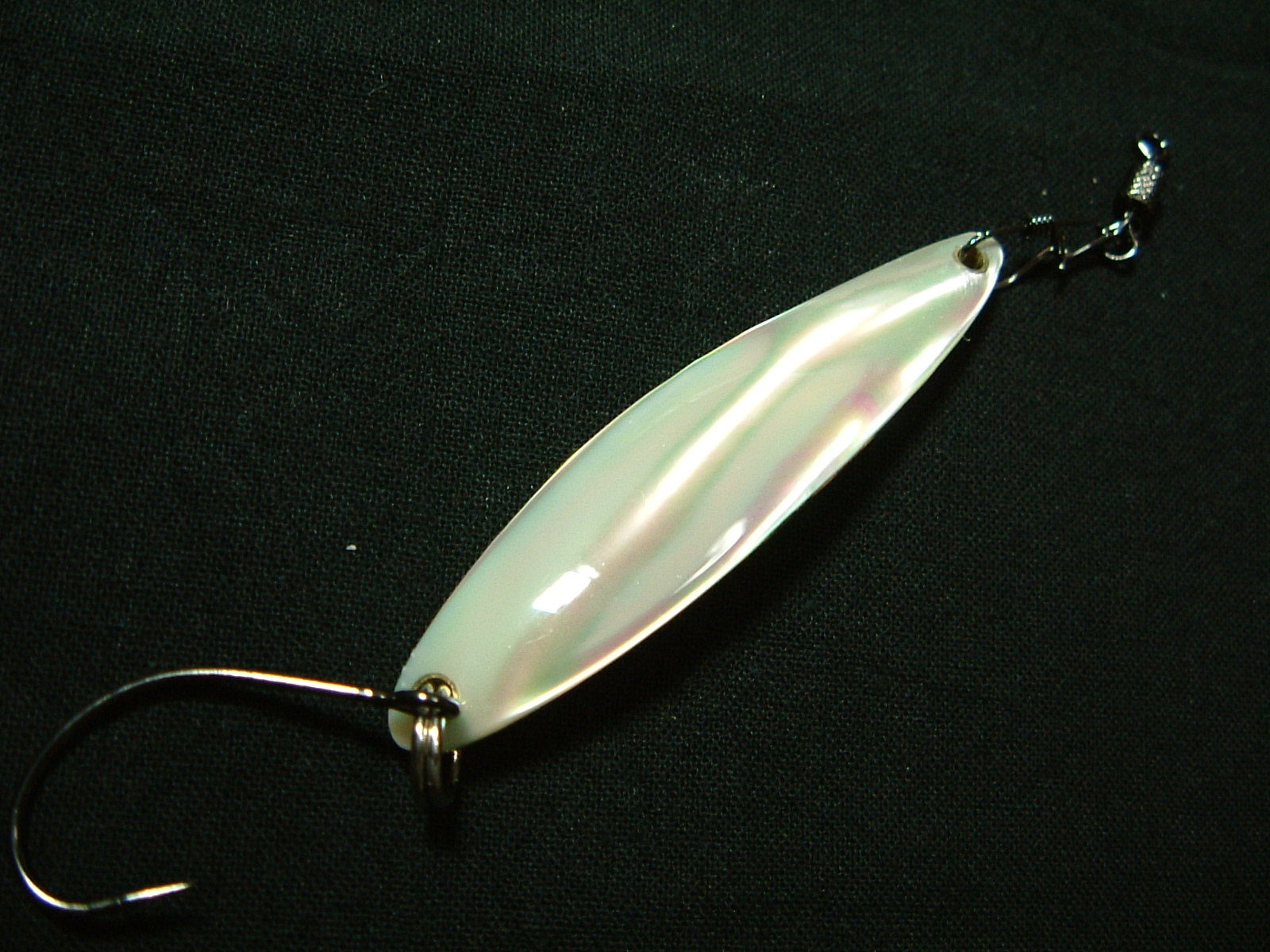 2006年もサスケドボンSP！宜しくお願いいたします。(下半期製作