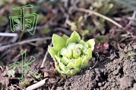 0C688F4E-0E36-4F6F-A209-D46A4F7E11A3