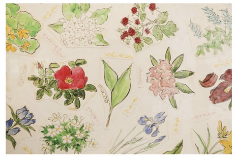 14CF9566-865C-4902-8CE9-90A37E332DE4