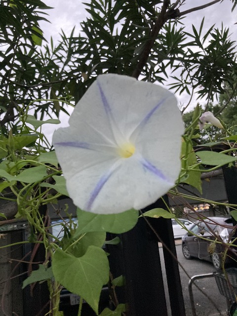 7E613235-6D1E-4B97-8F4D-009D9F51DBA4