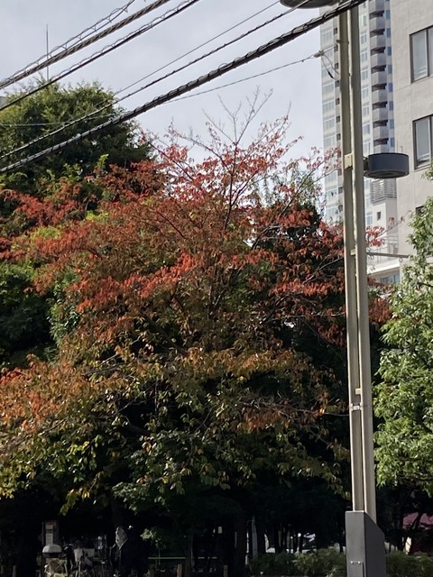 8B9C6B4E-E3E9-4A09-BAE1-60C9BD16937F