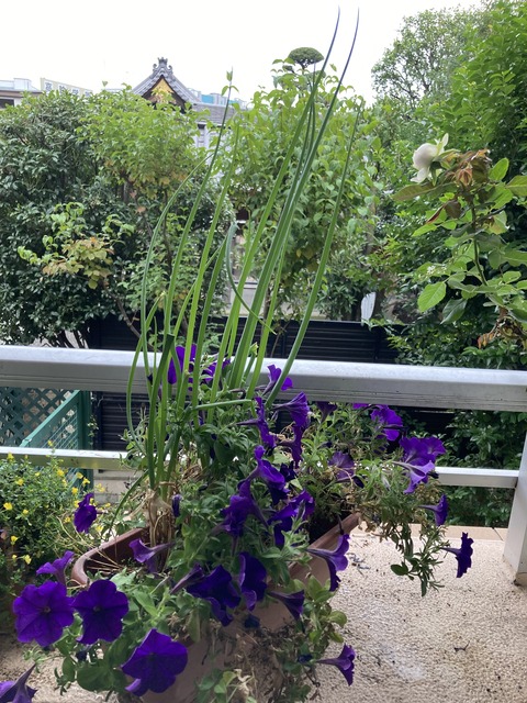 D06EA343-A4A2-4E85-AE0F-F8AE022A91EF