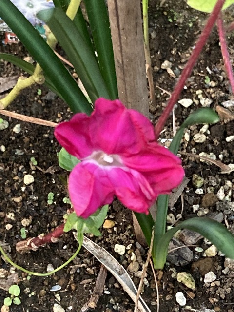 8F92F45E-2918-4237-841C-3296B7F395C9