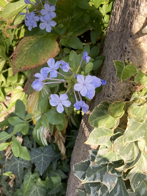 7F5C36B3-FAFB-4C87-827C-FEAE2CD19C8D