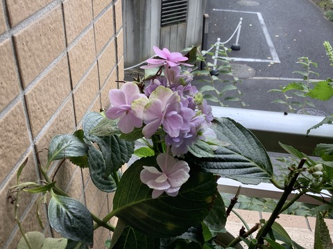 3540BD89-EABB-46B7-8E0B-B9692B574CD6